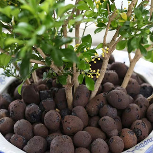 Sintered Clay Ceramsite Leca: Hydro Granules Clay Pebbles, Lightweight Aggregate for Hydroponics & Gardening