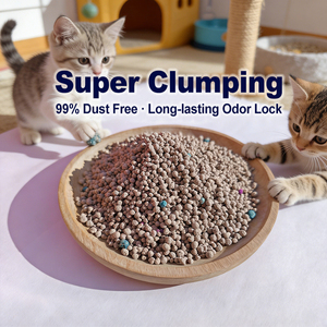 Dust Free Bulk Cat Litter Sand 10 Liters Bentonite Wholesale